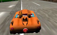 CHEETAH RACE